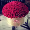 250 Red Rose Box